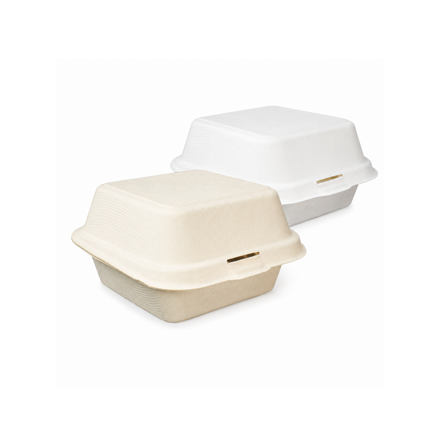 Sugarcane Clamshell Boxes