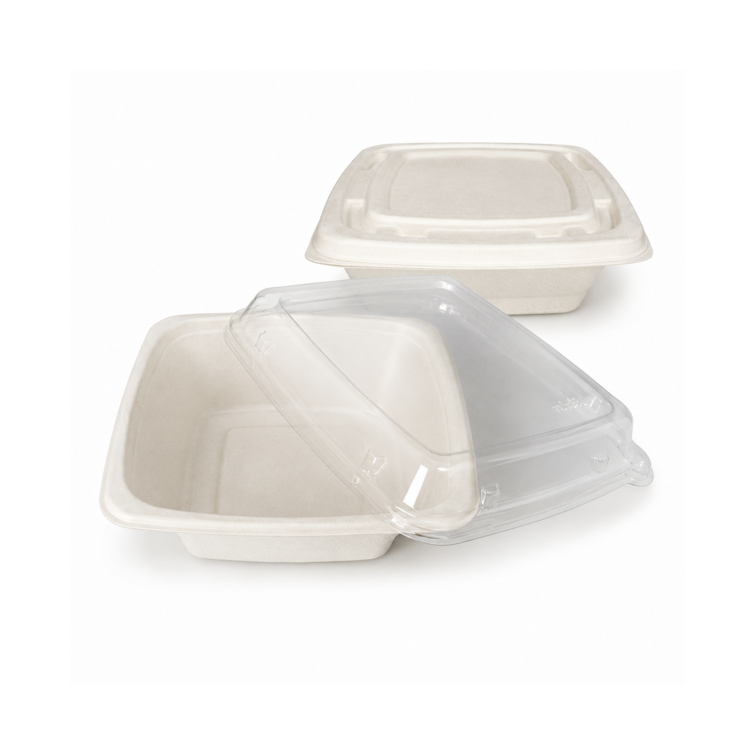 Sugarcane Containers