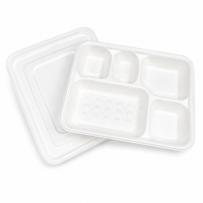 FTD051 5-Compartment Sugarcane Meal Box