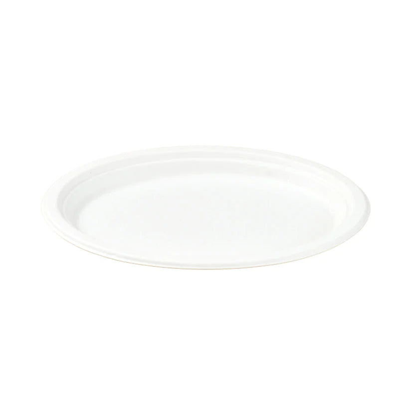 10" Sugarcane Oval Plate